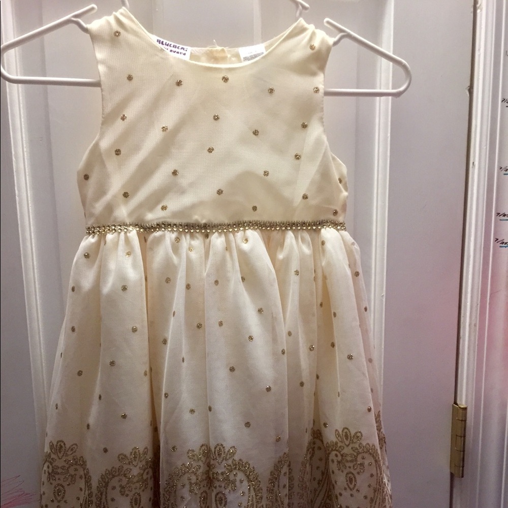 NWOT size 5 gorgeous girls party dress